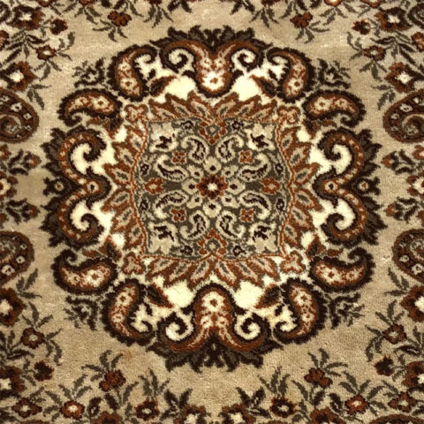 My carpet does not bite